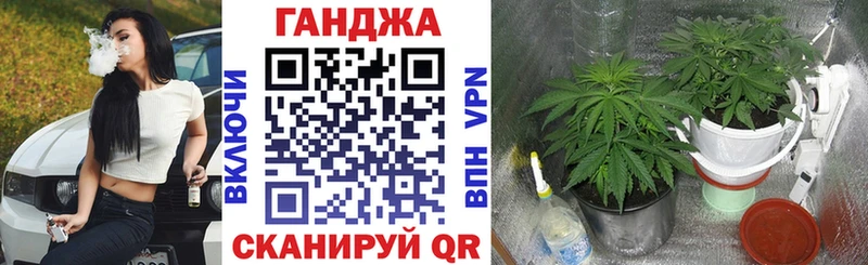 Купить наркотик аптеки Бежецк ГАШ  COCAIN  Псилоцибиновые грибы  Каннабис  МЕФ 