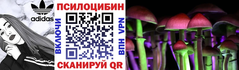 даркнет сайт Бежецк darknet состав Псилоцибиновые грибы Psilocybe